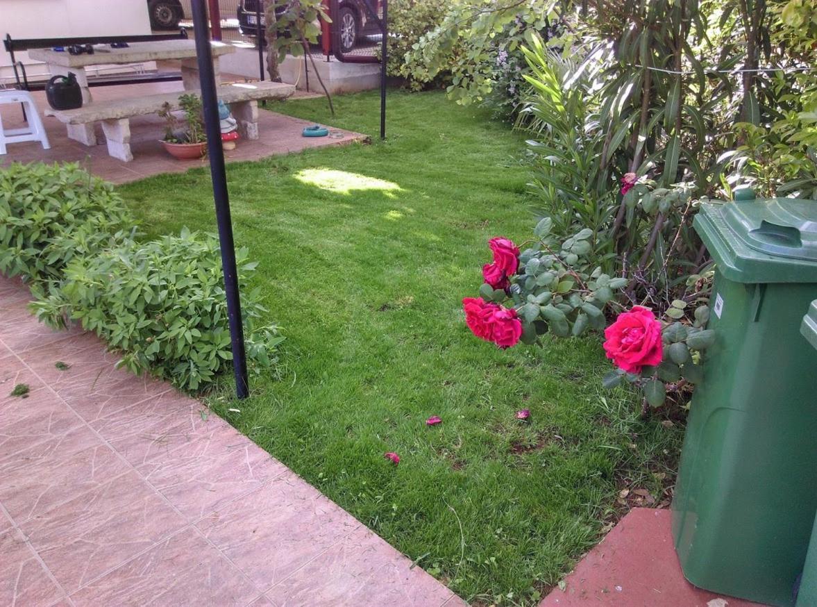 Novigrad Istria Apartment Casa Del Sol מראה חיצוני תמונה