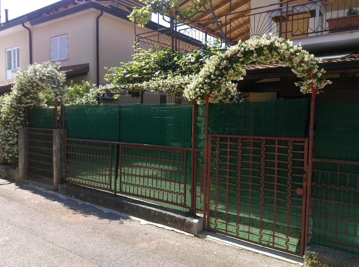 Novigrad Istria Apartment Casa Del Sol מראה חיצוני תמונה