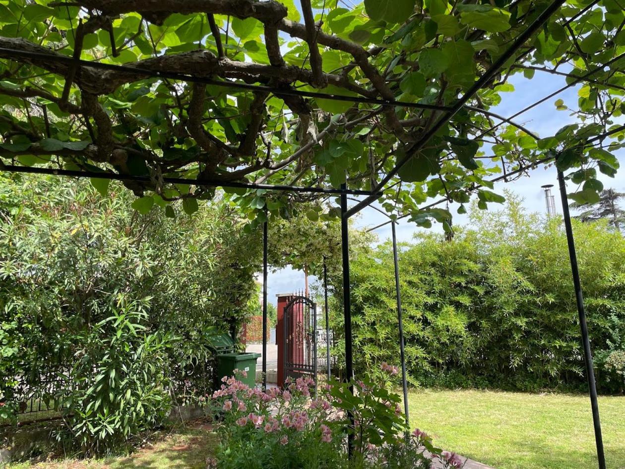 Novigrad Istria Apartment Casa Del Sol מראה חיצוני תמונה