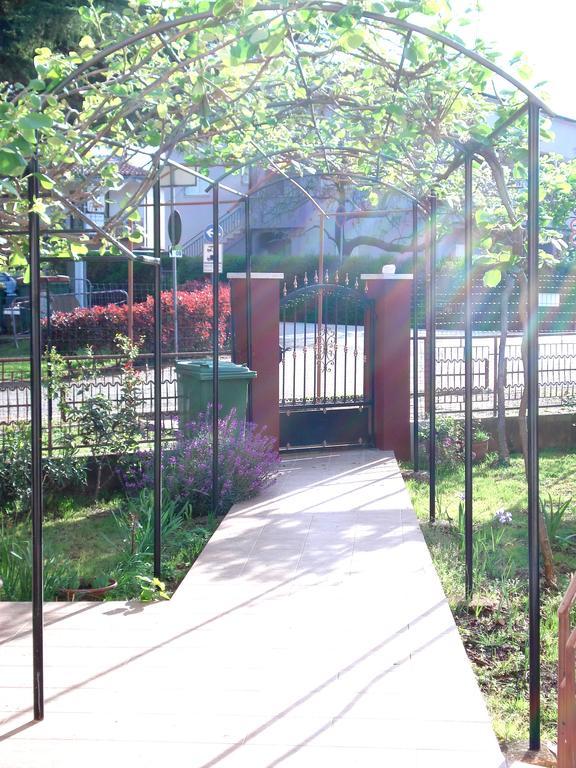Novigrad Istria Apartment Casa Del Sol מראה חיצוני תמונה